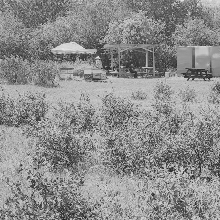 Farms & Local Flavours