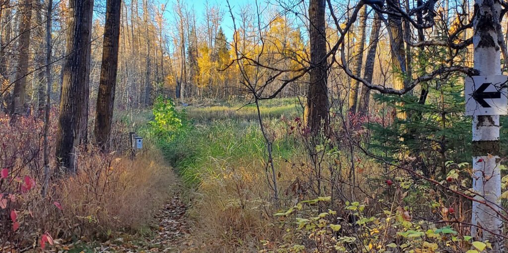 Three ways to enjoy this amazing fall weather in and around Morinville