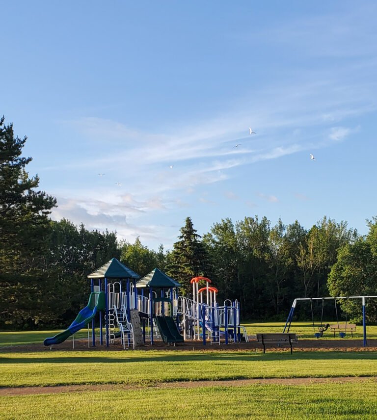 Cardiff Playground 768x856