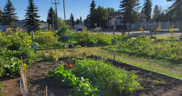 OriginStory gardens 768x406