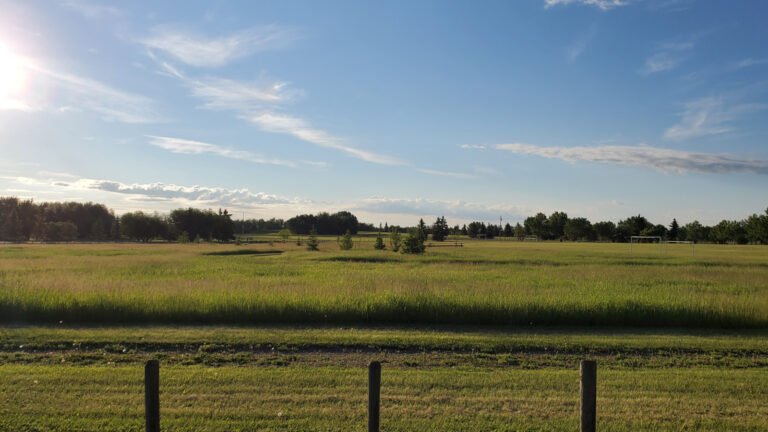 cardiff park is big 768x432