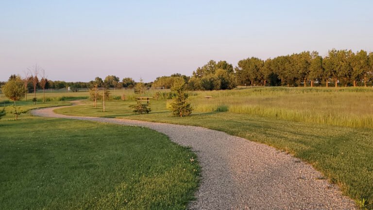 morning trail sized 768x432