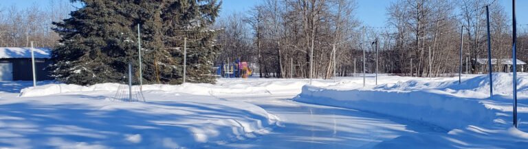 CardiffSkatingTrail Playground1 768x218