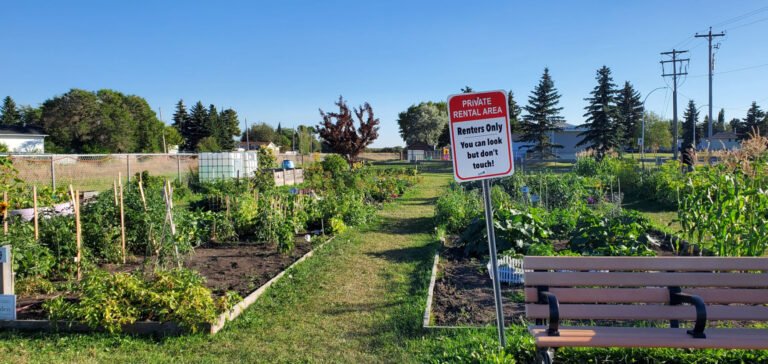 Community Gardens 3 768x364