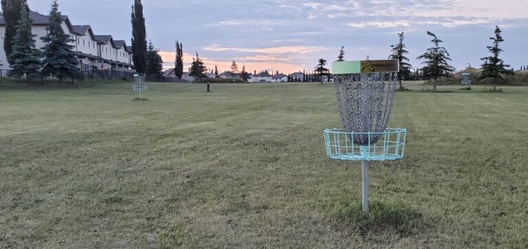 Disc Golf 768x363