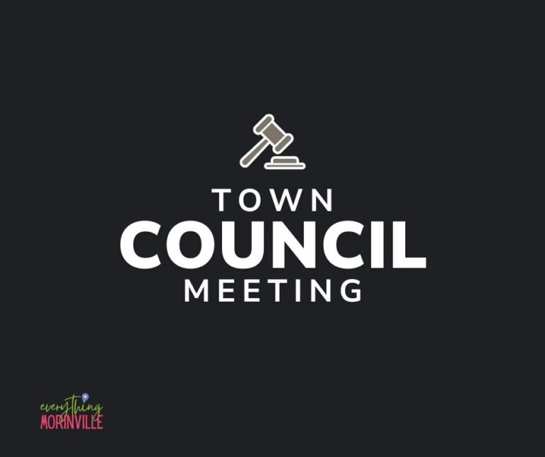 Town Council Meeting 768x644